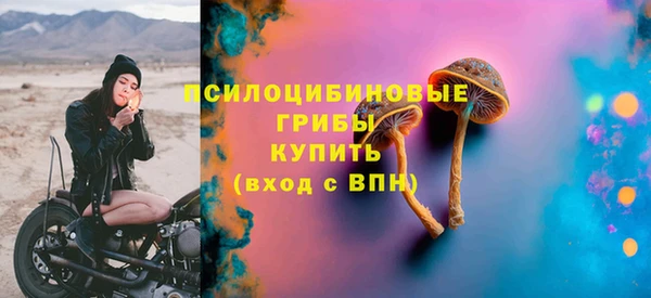 тгк Алзамай