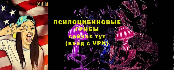стаф Алексеевка