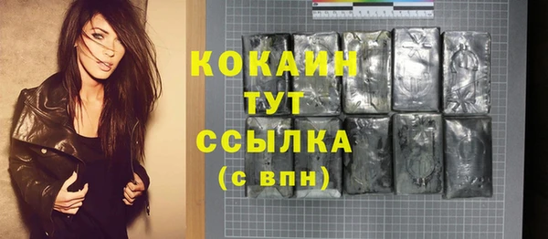 тгк Алзамай