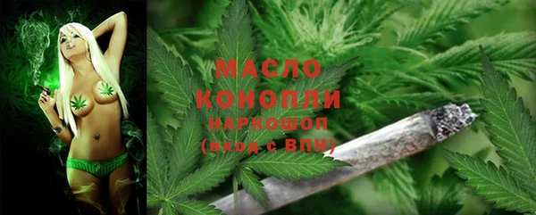 тгк Алзамай