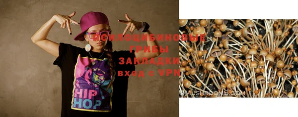 амф Алексин
