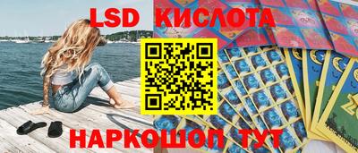 мяу мяу мука Краснознаменск