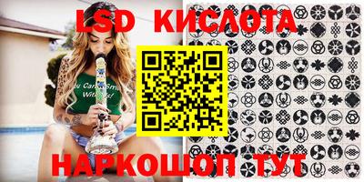 прущие грибы Краснокаменск