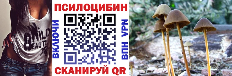 наркотики  Киров  Галлюциногенные грибы Cubensis 