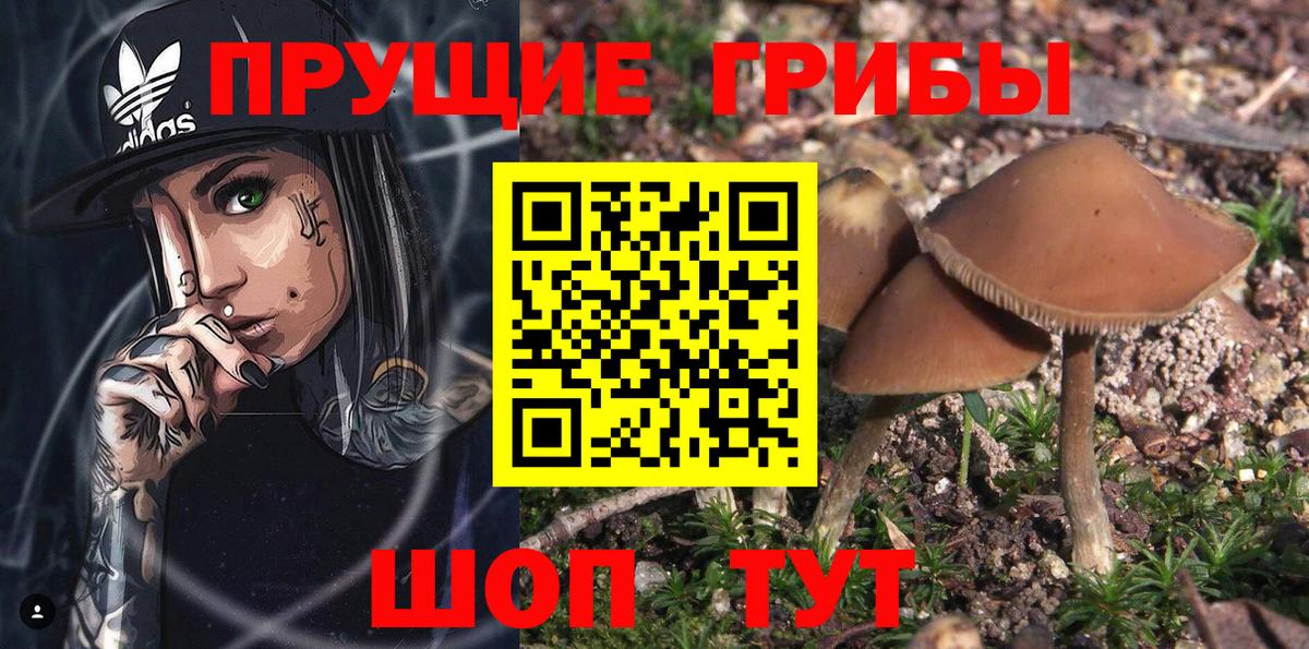 Галлюциногенные грибы MAGIC MUSHROOMS Киров