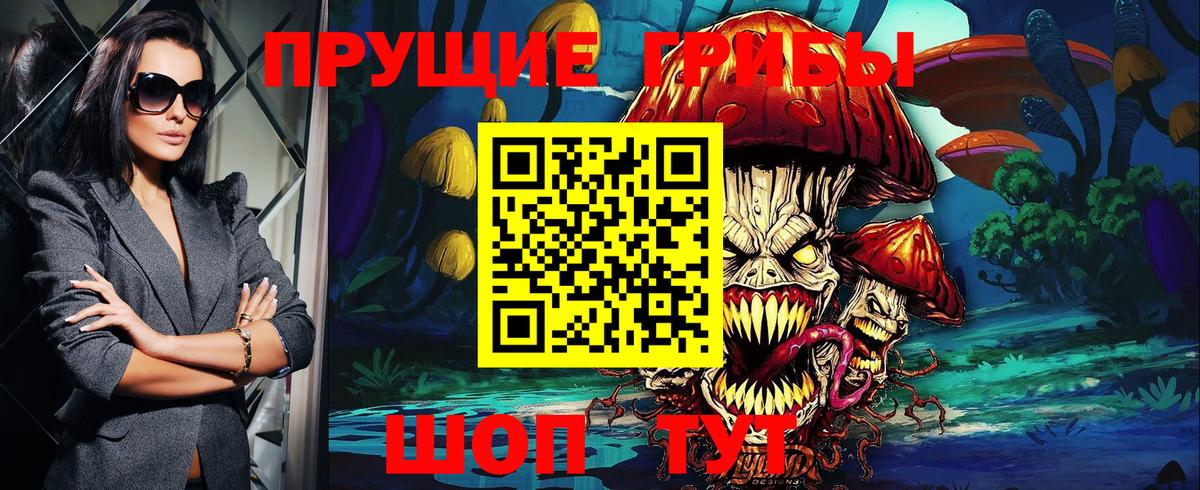Киров  Галлюциногенные грибы Psilocybe  где можно купить наркотик  Вход с VPN 